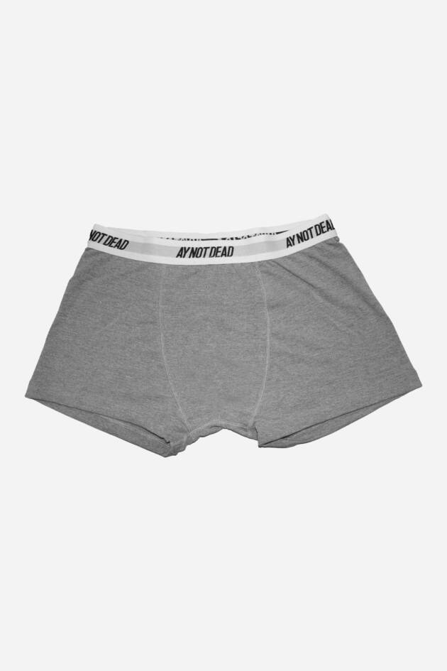 AY NOT DEAD BOXER BASIC