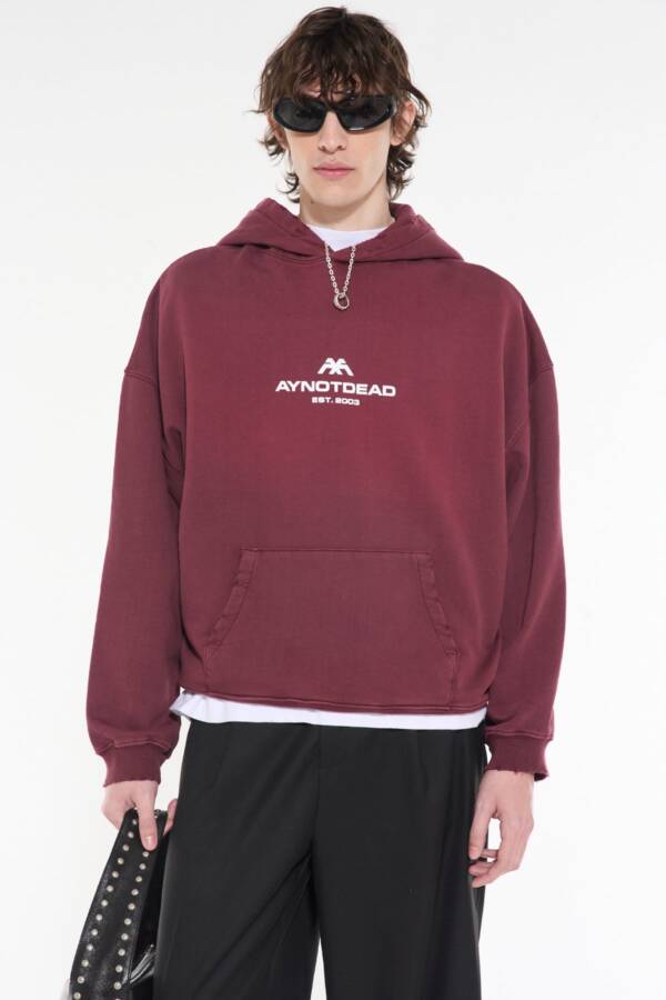 AY NOT DEAD HOODIE CORROSION AYND - Image 2