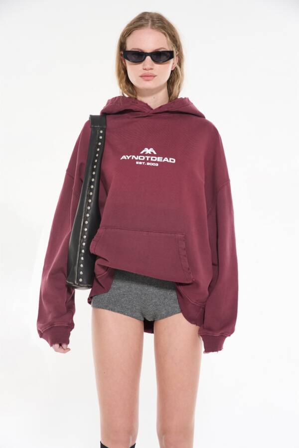 AY NOT DEAD HOODIE CORROSION AYND - Image 3