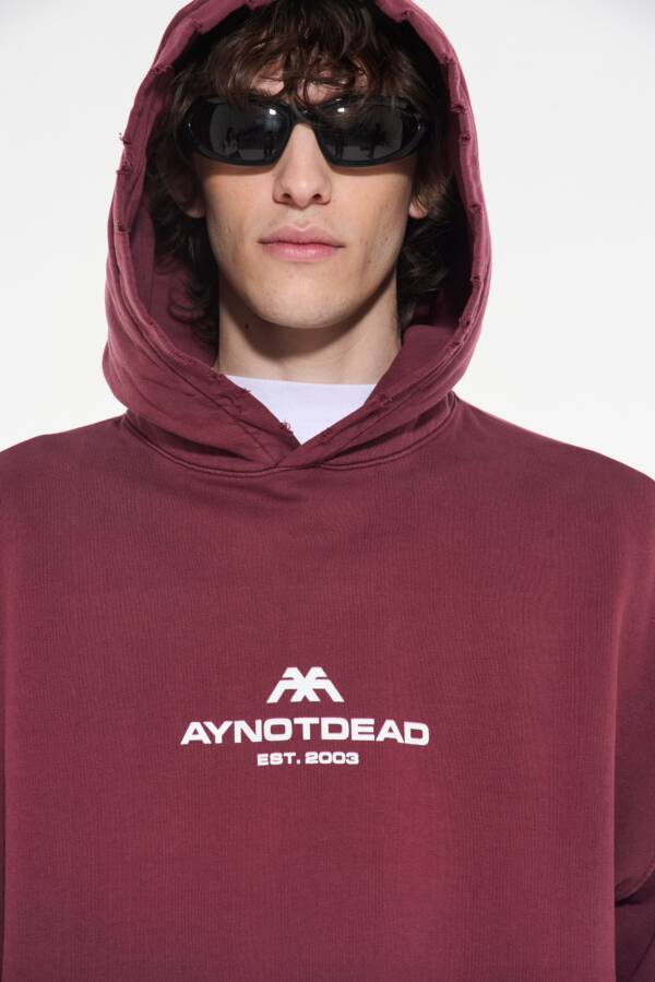 AY NOT DEAD HOODIE CORROSION AYND - Image 4
