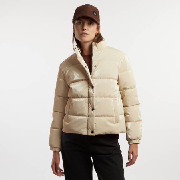 KEVINGSTON CAMPERA BOSTON