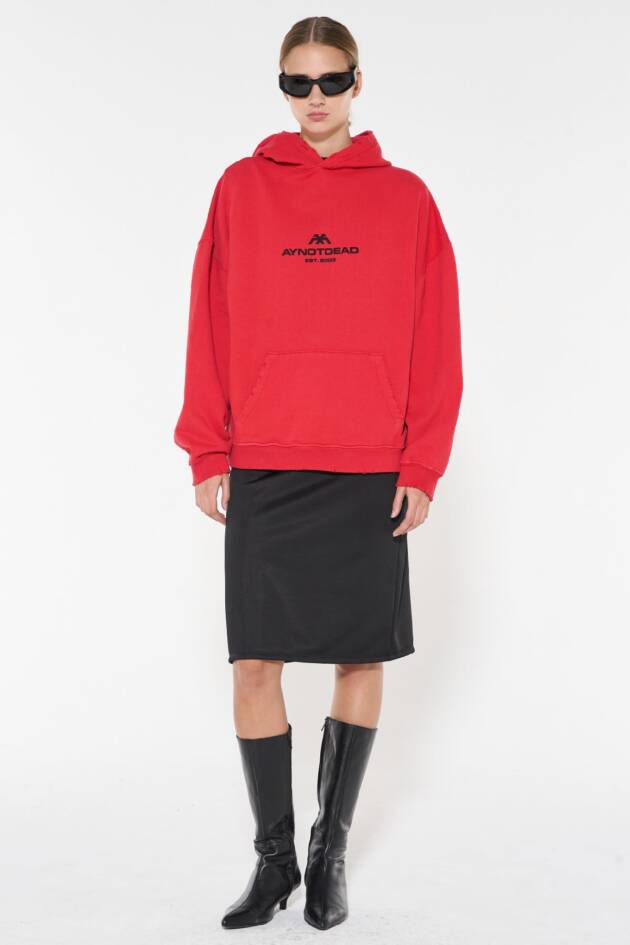 AY NOT DEAD HOODIE AYND