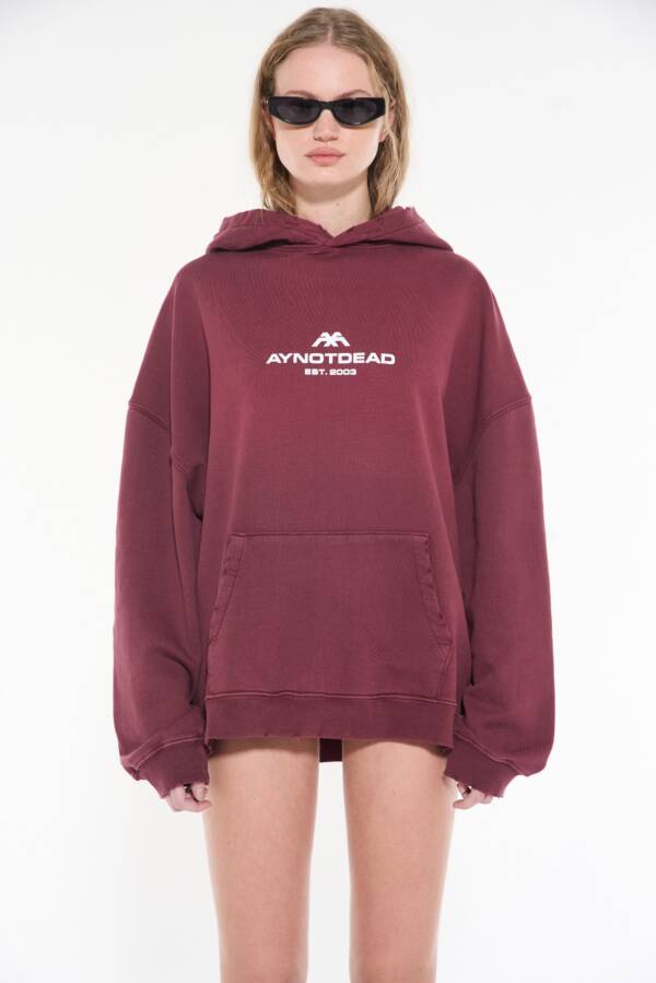 AY NOT DEAD HOODIE CORROSION AYND - Image 5