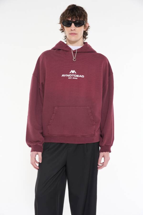 AY NOT DEAD HOODIE CORROSION AYND - Image 6