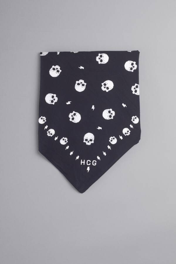 HERENCIA PAÑUELO RAY CALAVERAS WIN